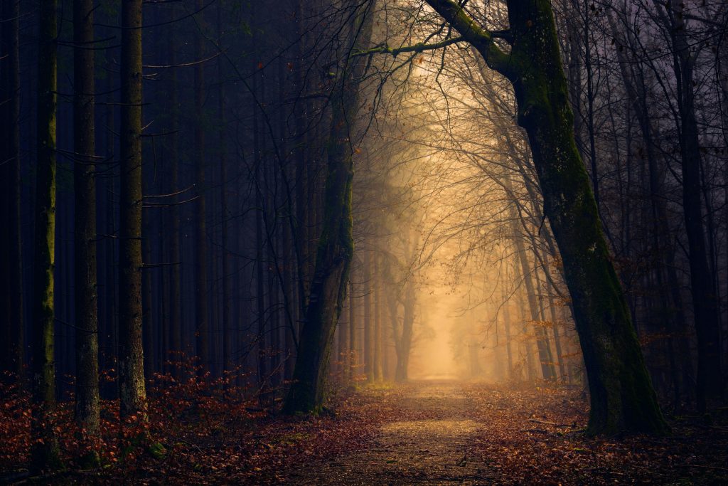 Urkraft - der WEg dahin